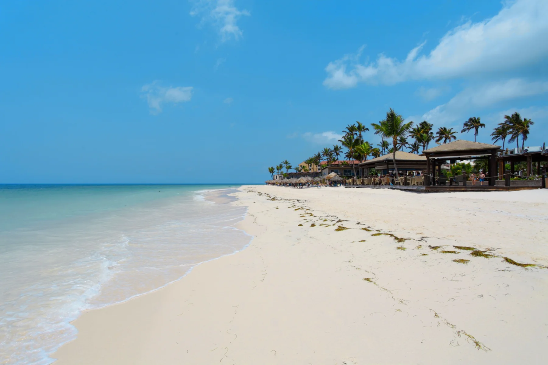 Palm trees and shaded buildings beside a broad white-sand beach