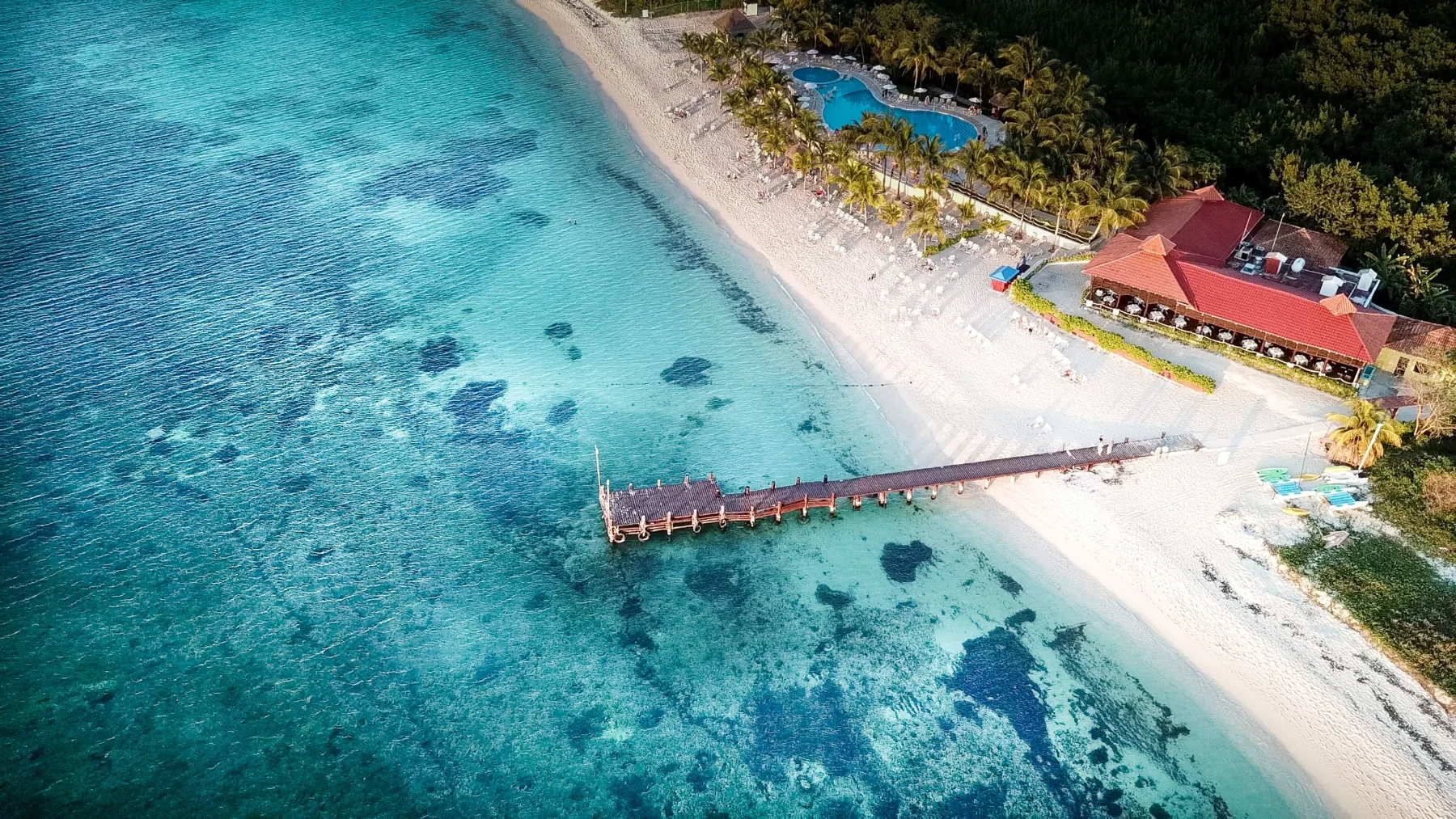 Long wooden pier extending from a palm-lined beach into clear water